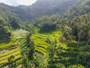 Bali Complete Travel Guide