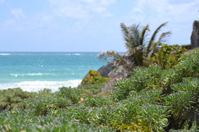 Mexico travel