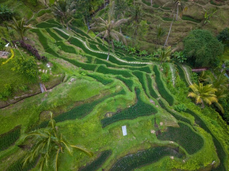 Bali Slow Travel Guide 2026: 1 Month in Paradise