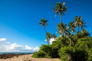 Destination dupes cheaper alternatives popular places