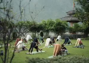 Wellness retreat mountain yoga session