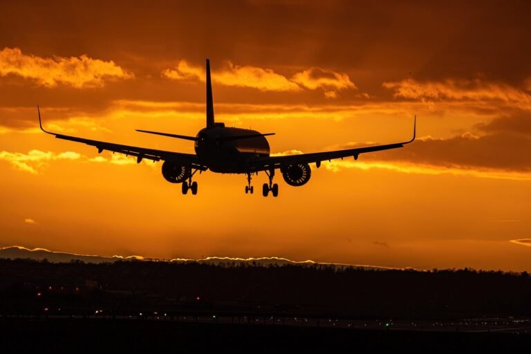 Flight Deals This Week: Real Fares Pulled Live from Our Partner Network (August 2026)